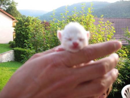 La tite bouille !! :)